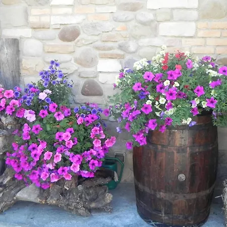 Hotell Trois Etoiles 2*