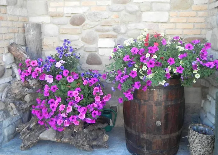 ホテル Trois Etoiles 2*